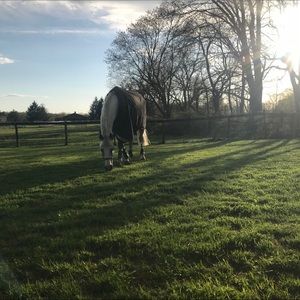 Meet your Posher, Kelly